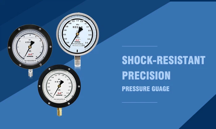 Shock-resistant-precision-gauges-and-high-precision-pressure-gauges-2 Shock-resistant-precision-gauges-and-high-precision-pressure-gauges-2