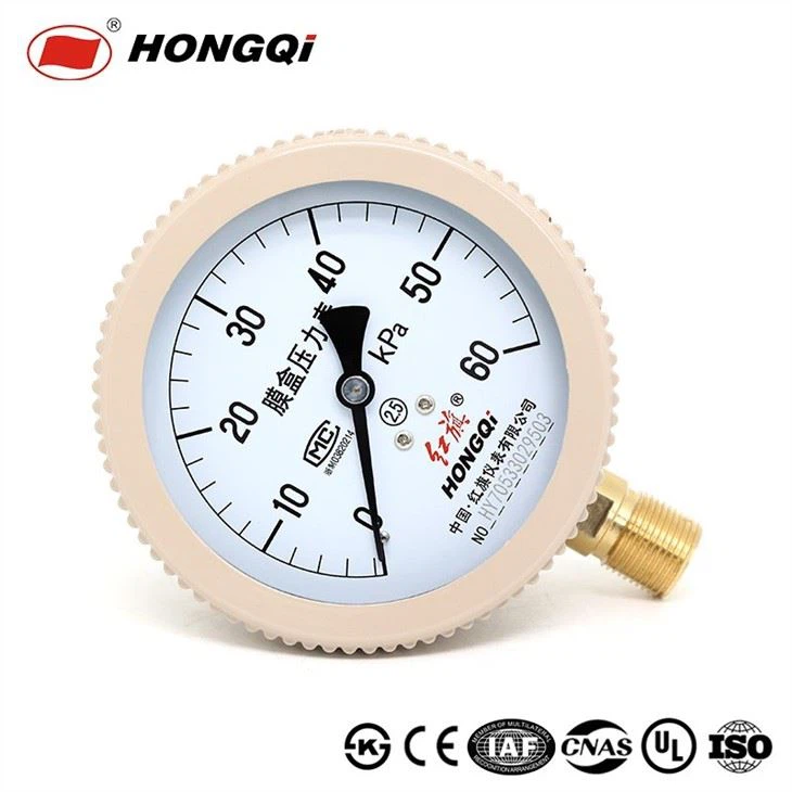 YE-100 Diaphragm Type Capsule Low Pressure Gauge